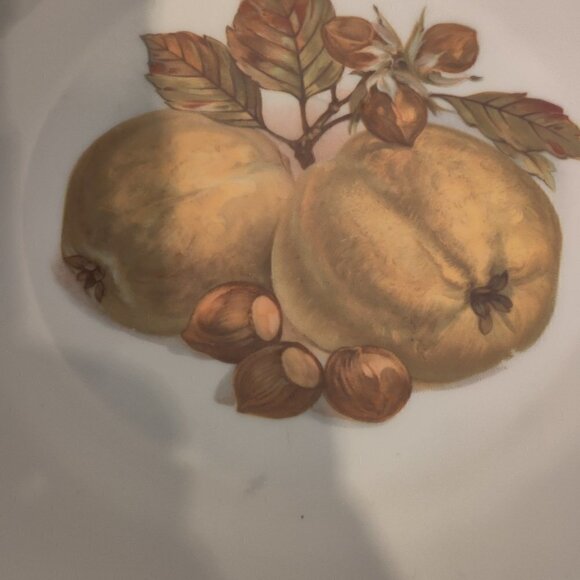 Harvest Plates 8" by Bareuther of Germany.Traditional Bavarian Vintage Serveware - Picture 2 of 7